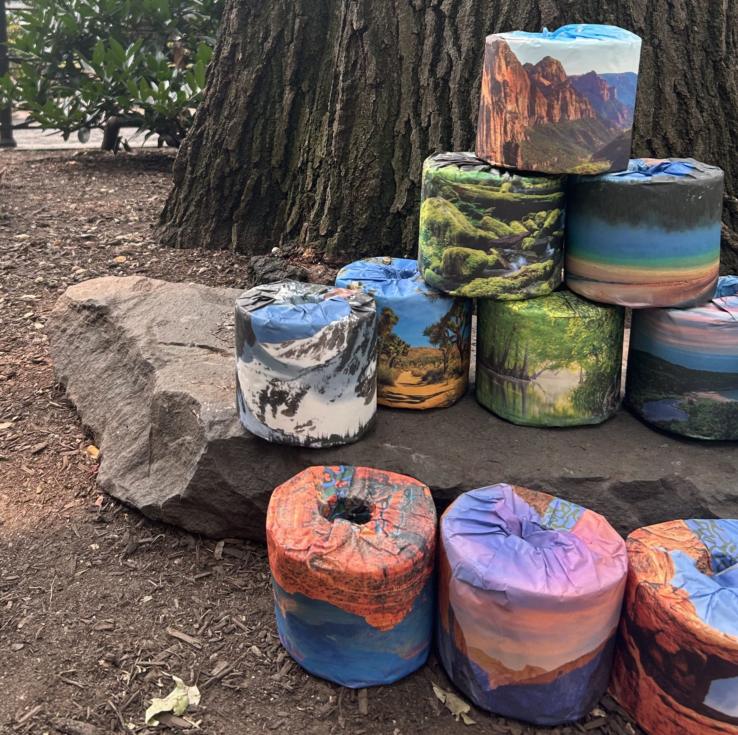 Everyone Is Talking About This Toilet Paper That Is Helping Conserve Our National Parks. Here’s What We Found.